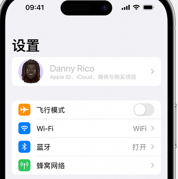 普兰appleID维修服务iPhone设置中Apple ID显示为灰色无法使用 