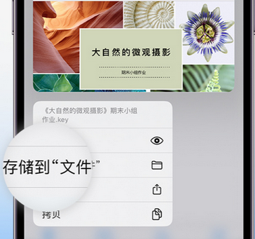 普兰apple维修中心分享iPhone文件应用中存储和找到下载文件