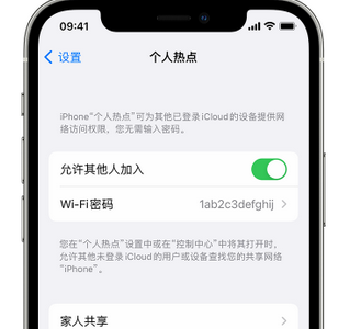 普兰apple服务站点分享iPhone上个人热点丢失了怎么办 