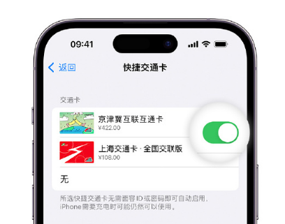 普兰apple维修点分享iPhone上更换Apple Pay快捷交通卡手绘卡面 