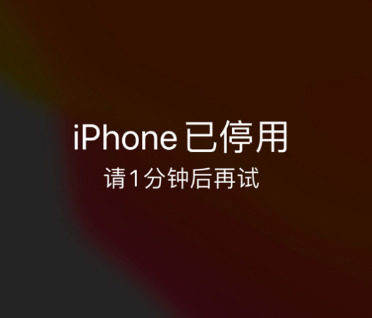 普兰苹果手机维修分享:iPhone 显示“不可用”或“已停用”怎么办？还能保留数据吗？ 