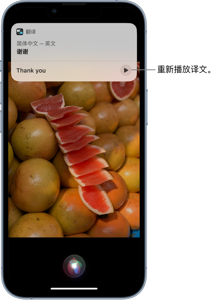 普兰苹果14维修分享 iPhone 14 机型中使用 Siri：了解 Siri 能帮你做什么 