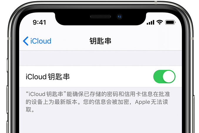 普兰苹果手机维修分享在 iPhone 上开启 iCloud 钥匙串之后会储存哪些信息 