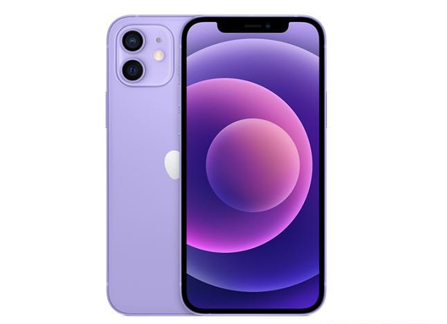 普兰苹果手机维修分享现阶段要不要入手紫色版iPhone12 