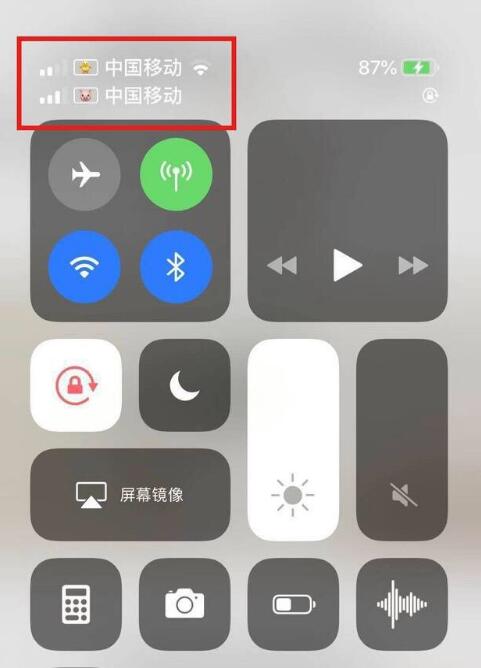 普兰苹果手机维修分享为 iPhone 12 双卡设置标签 