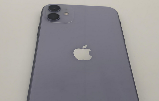 普兰苹果11系统维修分享iPhone11手机系统崩溃无法开机如何解决