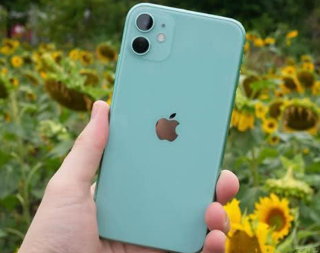 普兰苹果维修点分享iPhone 11锁屏密码认知与使用科普 
